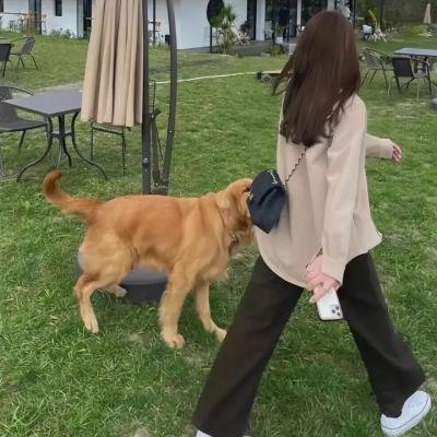 家中的战争